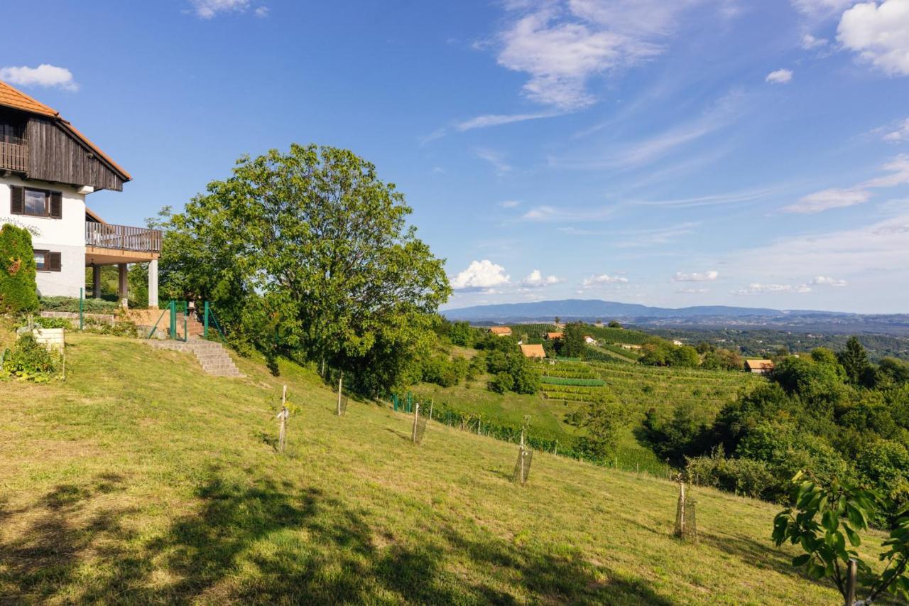 Cosy Hill Home Rucman With A Breathtaking View Zgornja Pohanca エクステリア 写真