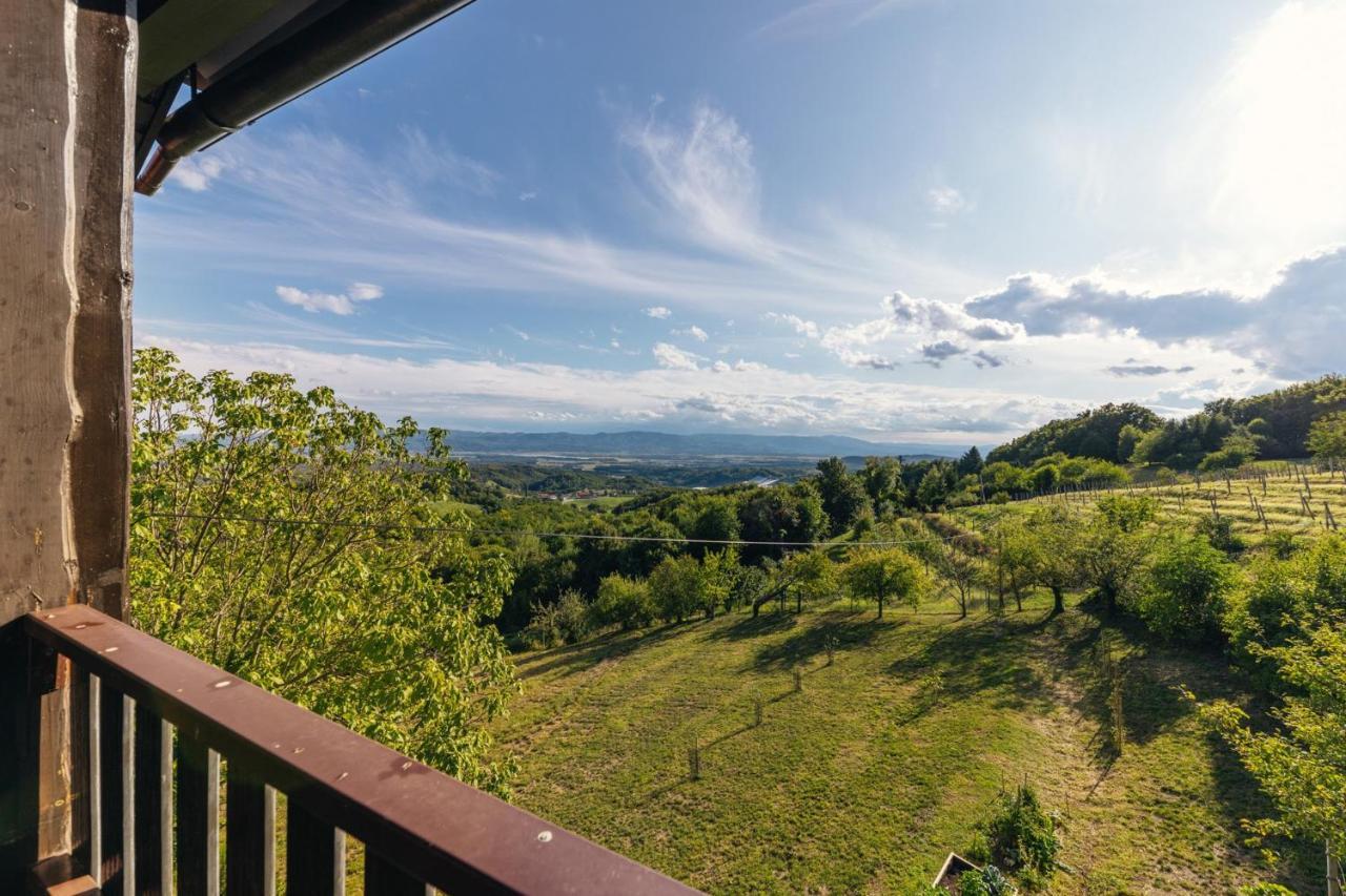 Cosy Hill Home Rucman With A Breathtaking View Zgornja Pohanca エクステリア 写真